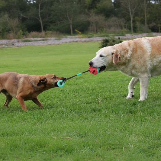 Dog Toy, Tug Rope Toy, Training Ball