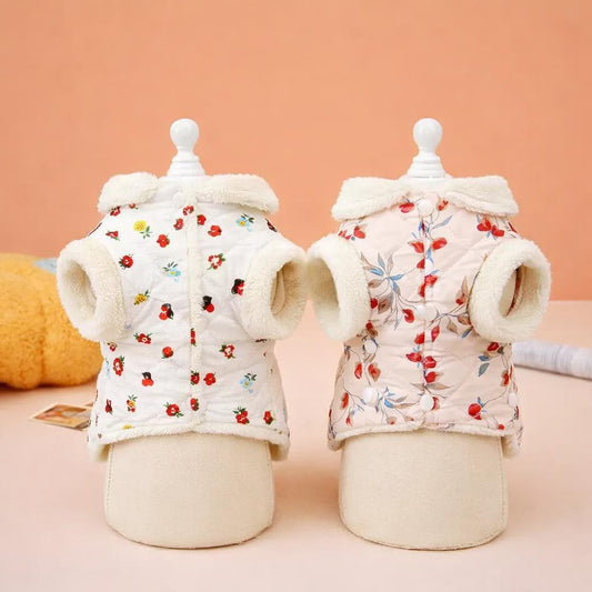 Autumn & Winter Pet Clothes