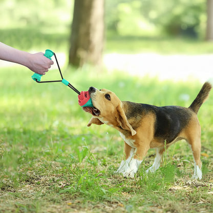 Dog Toy, Tug Rope Toy, Training Ball