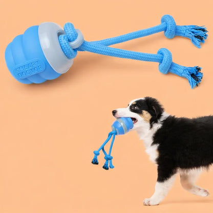 Paw Glide Toy